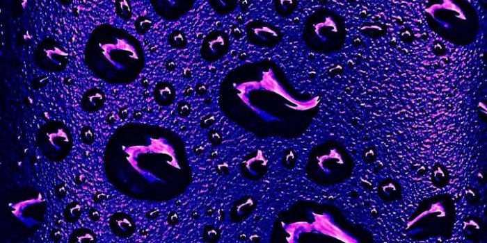 720x1280 Purple Water Drops Wallpaper by JN2018_ - eb - Free on ZEDGE™