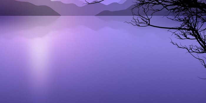 2560x1920 Purple Water & Dark Wood wallpapers | Purple Water & Dark Wood stock