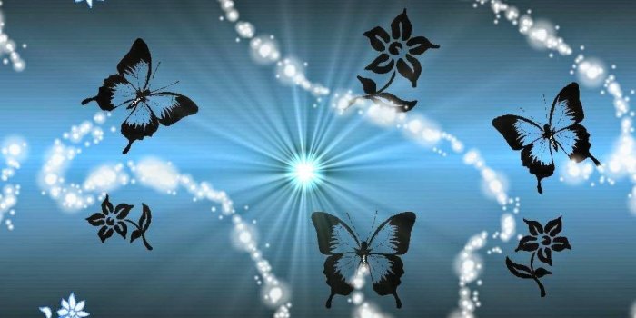 1055x815 Butterfly Desktop Wallpaper Free | CINEMAS 93
