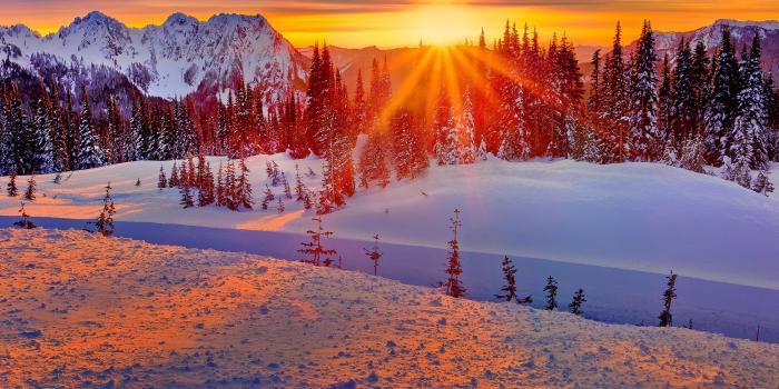 2560x1600 Wallpaper Washington, USA, winter, mountains, trees, snow, sunset