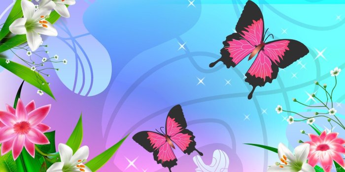 1920x1080 Butterfly Wallpaper for Computer (60+ images)