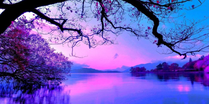 1920x1200 60+ Purple Lake Wallpapers - Download at WallpaperBro