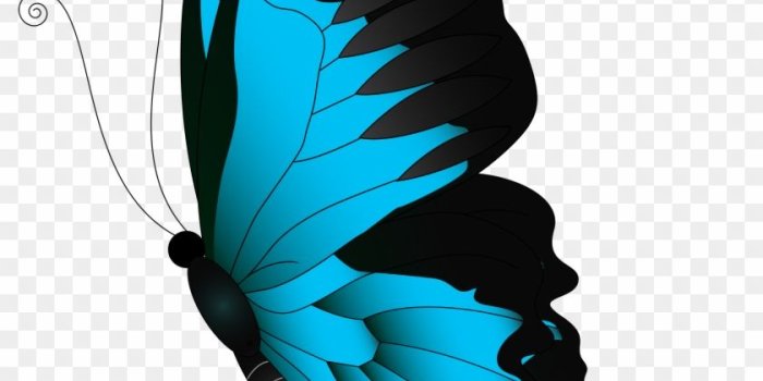 840x1011 Butterfly Desktop Wallpaper Clip Art - Red Butterfly Clipart - Free