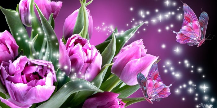 1920x1080 Cute Butterfly Desktop Backgrounds | 2019 Live Wallpaper HD