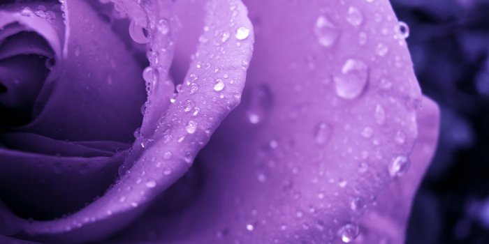 2100x1575 Water, vaporwave, purple water, yung lean HD wallpaper | Wallpaper Flare