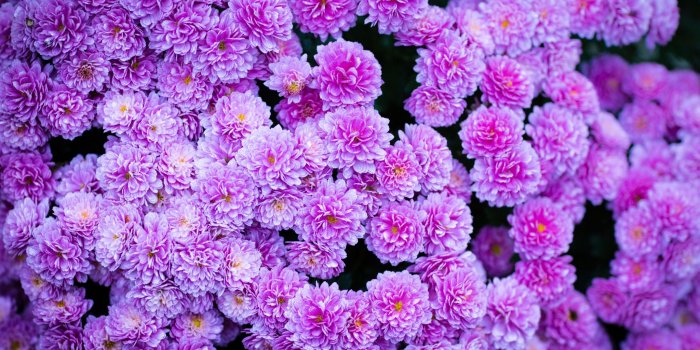 2048x1365 open mouth, Dead, Digital art, Skull, Simple background, Nike, Humor