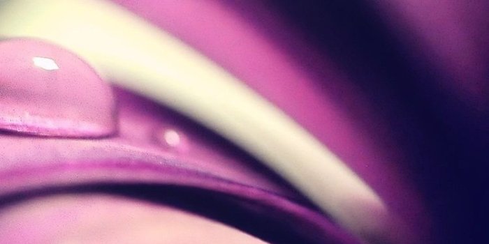 750x1334 Wallpaper Purple flower petals close-up, water drop 2560x1600 HD