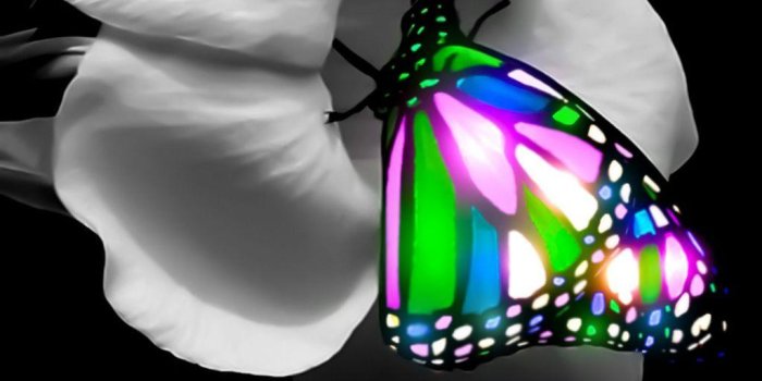 1024x768 Stained glass butterfly desktop wallpaper | Here's a cool lo…