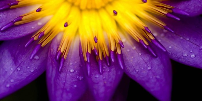 1920x1080 HD wallpaper: purple textile, vaporwave, water drops, yung lean