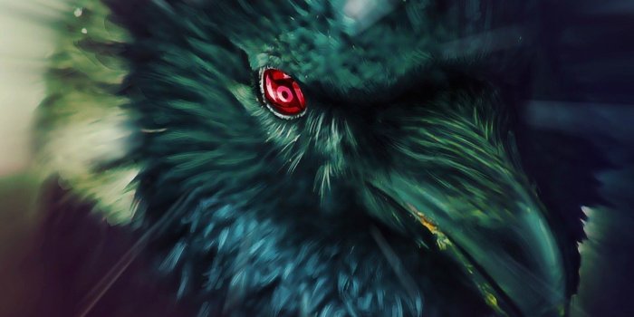 1920x1080 Itachis Crow Naruto Wallpaper HD Windows Wallpapers Download Free