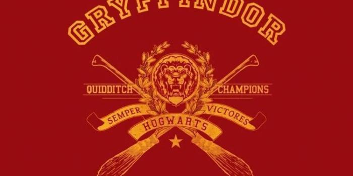750x1334 750x1334 Gryffindor wallpapers Gallery #harrypotterwallpaper