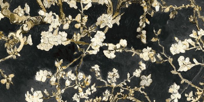 900x900 Black blossoming almonds Van Gogh chinoiserie art home wallpaper