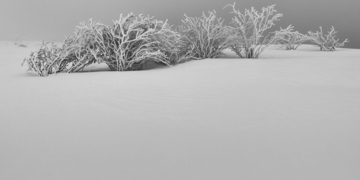 2560x1600 Winter White Snow Aesthetic Black and White ❤ 4K HD Desktop