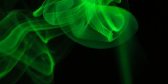 1600x500 Slytherin | 34 best free slytherin, green, dark and leafe photos on