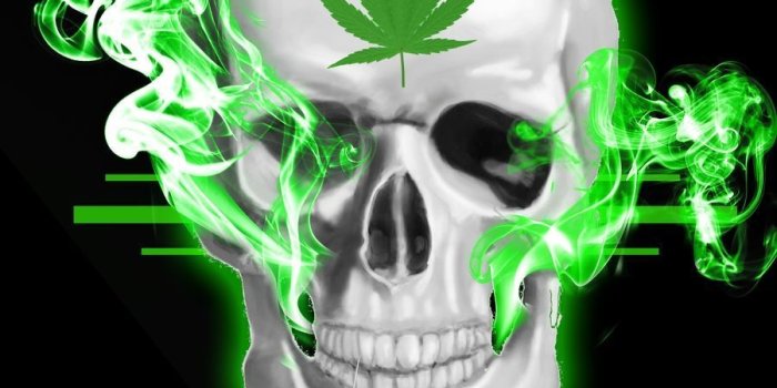 900x1280 Weed Skull Wallpapers - Top Free Weed Skull Backgrounds