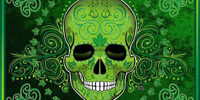 2880x2165 Weed skull | F@$&!? Awesome! | Day of the dead girl, Day of the dead