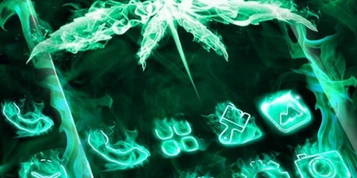 720x1280 Neon Fire Weed Skull Themes HD Wallpapers 3D icons 1.3 APK Download