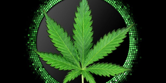 1920x1440 Wallpaper title weed skull