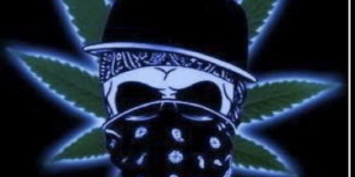 768x1280 Smoke Dope Weed Wallpapers - Top Free Smoke Dope Weed Backgrounds