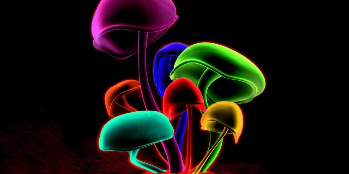 1440x900 Neon hd wallpapers Gallery