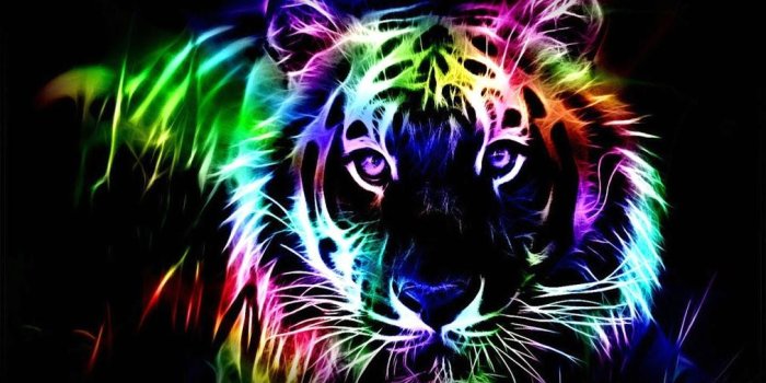 1012x900 Hd Neon Wallpaper (30+ images) on Genchi.info