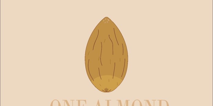 1313x2334 Almond illustration #minimalist #almond #simplistic #wallpaper