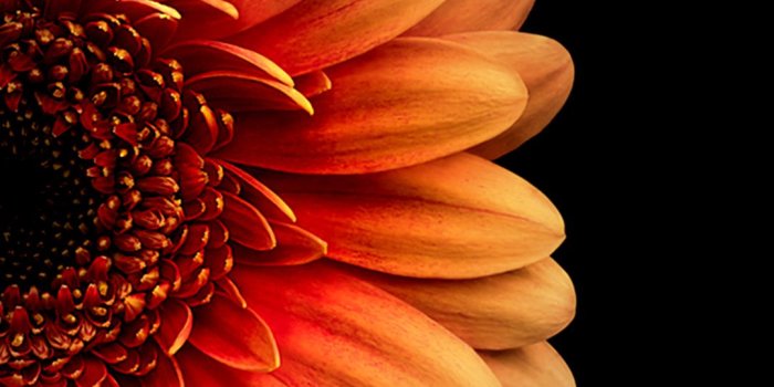1080x1920 Orange On Black Mobile HD Wallpaper - Vactual Papers