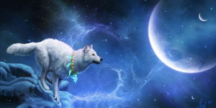 1920x1080 Magic White Wolf ❤ 4K HD Desktop Wallpaper for 4K Ultra HD TV