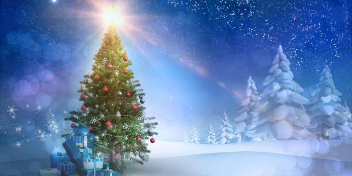 5400x3599 Merry Snowy Winter Time Christmas Snow Evening Xmas Tree Magic