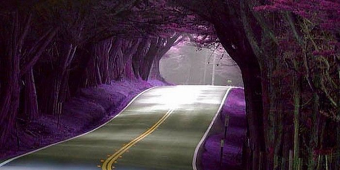 960x854 50+] Mobile Wallpaper Free Download on WallpaperSafari