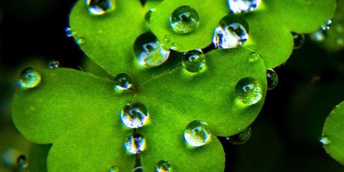 720x1280 Adorable Mobile Wallpapers, Mobile Wallpapers (36 Wallpapers