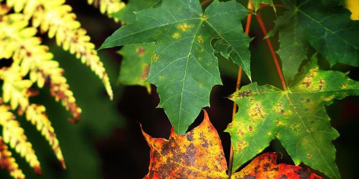 900x1498 Best Wallpapers For Mobile - (66+) Group Wallpapers