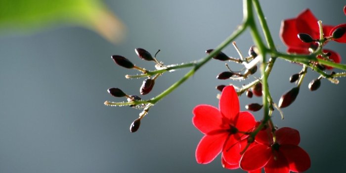 1440x900 Download Most Popular Wallpaper For Mobile (41+) - Free Wallpaper