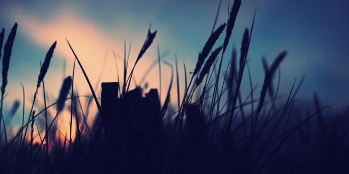 1920x1080 Best 38+ Silhouette Wallpaper on HipWallpaper | Batman Silhouette