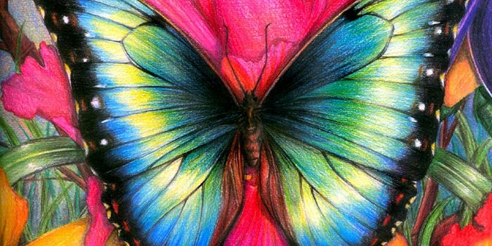 1200x800 Download 1200x800 popular mobile wallpapers download 239 1200x800