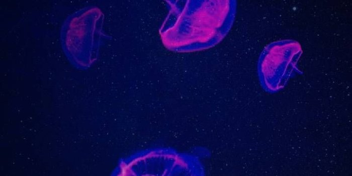 720x1280 Download IPHONE UNIVERSE Wallpaper by Darshika_LK - 57 - Free on