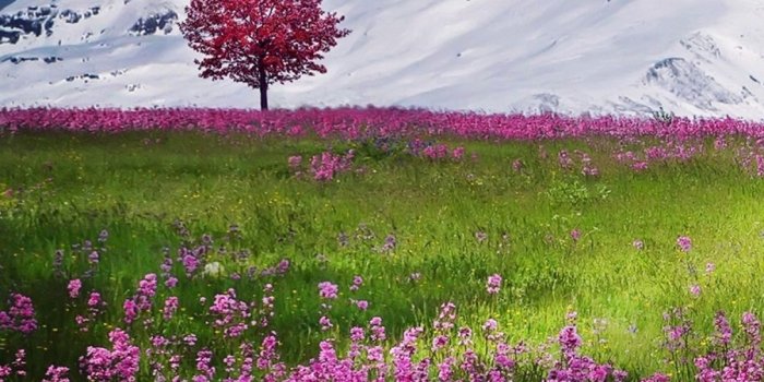 1200x1600 Popular - Mobiles Wall