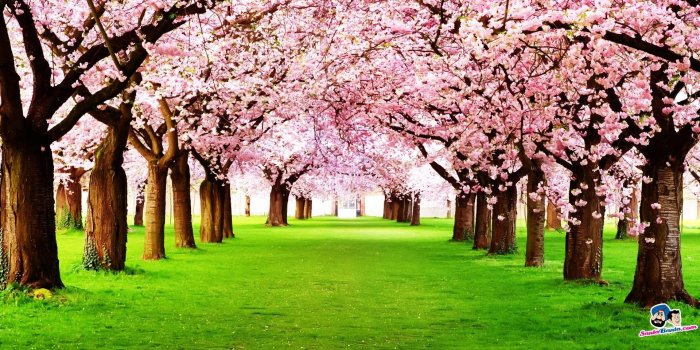 1920x1080 Santa Banta Mobile Wallpapers (67+ background pictures)