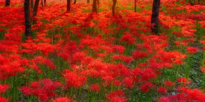 768x1024 Most Beautiful Sunsets In The World ❤ 4K HD Desktop Wallpaper for