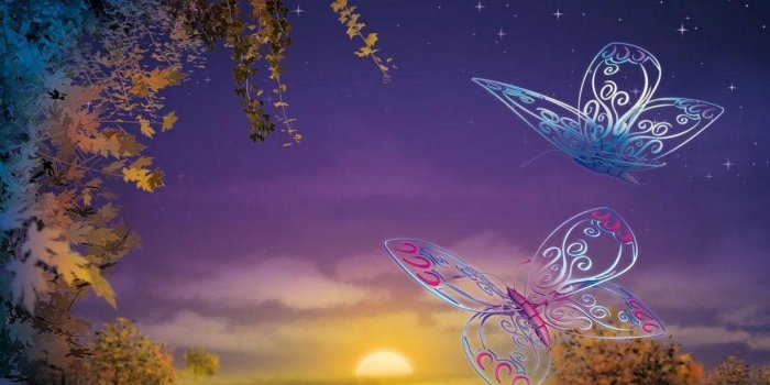 1200x800 1200x800 popular mobile wallpapers free download (10) - 1200x800