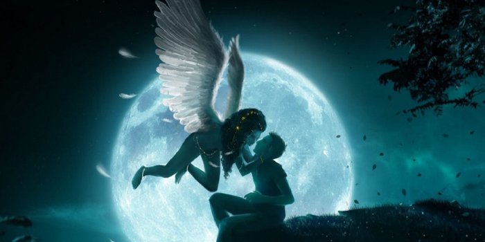 1200x800 Anime Love Images Vk Love Hd Wallpaper And Background - Fairy