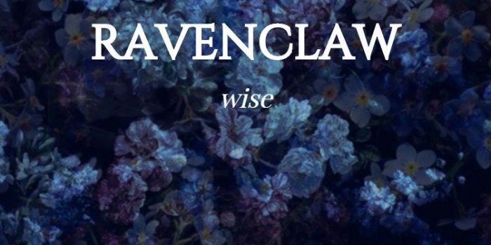 750x1120 cafa0197 harry potter, ravenclaw, and hogwarts image