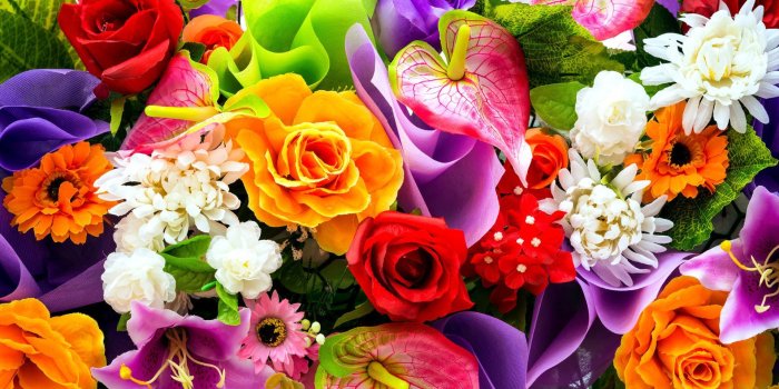 1920x1200 Colorful Floral Wallpaper HD Resolution #XRt | Awesomeness | Flower