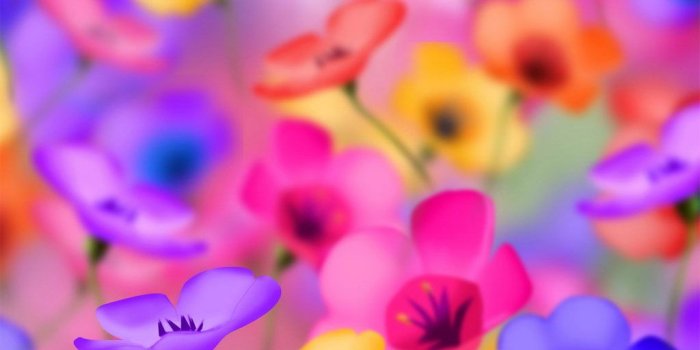 1024x768 Colorful Flowers wallpaper | 1024x768 | #4865