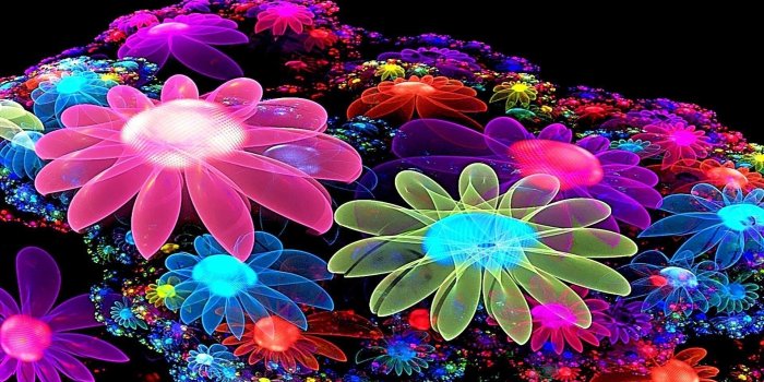1920x1080 Colorful Flower Wallpaper 3D | Best HD Wallpapers | Wallpaperscute