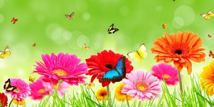 1440x900 Colorful Flowers Wallpaper #4240146, 1440x900 | All For Desktop