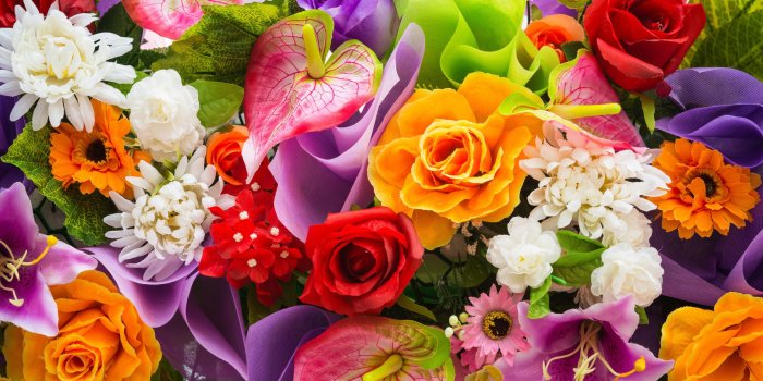 2560x1600 Colorful Flower Wallpapers (77+ images)