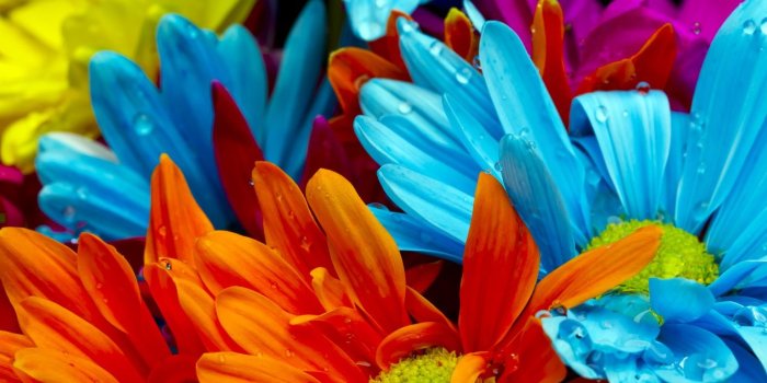 1332x850 Wallpaper purple, orange, red, red, water drops, orange, water drops