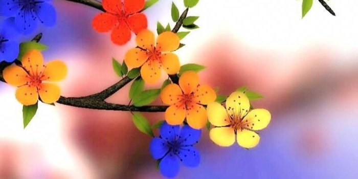 736x1308 Colorful Tree Flowers Wallpaper, #colorful #flowers #Tree #wallpaper