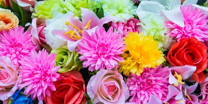 2880x1800 Pretty Colorful Flowers Wallpaper (95+ images in Collection) Page 1